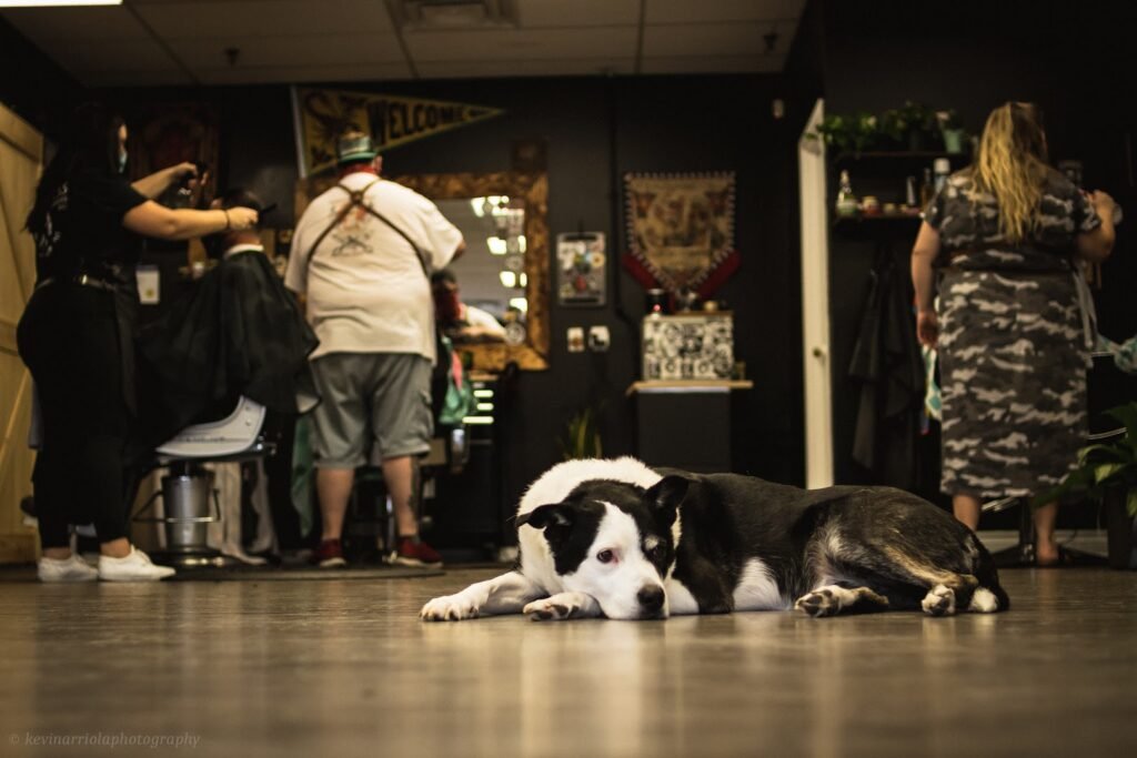 Limitless Barbers Inc. barber shop interior, London Ontario